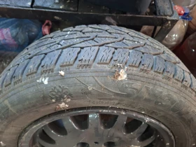 ���� � ������ 195/65R15 �� BMW 114 | Mobile.bg � ����� ������ 3