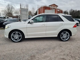 Mercedes-Benz ML 350 CDI-258kc/AMG//// | Mobile.bg    8