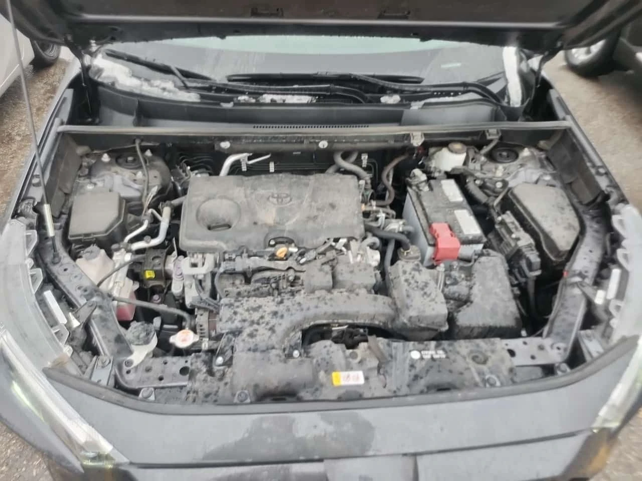 Toyota Rav4 XLE| KEYLESS GO| PANORAMA| ПОДГРЕВИ| , снимка 7 - Автомобили и джипове - 54256476