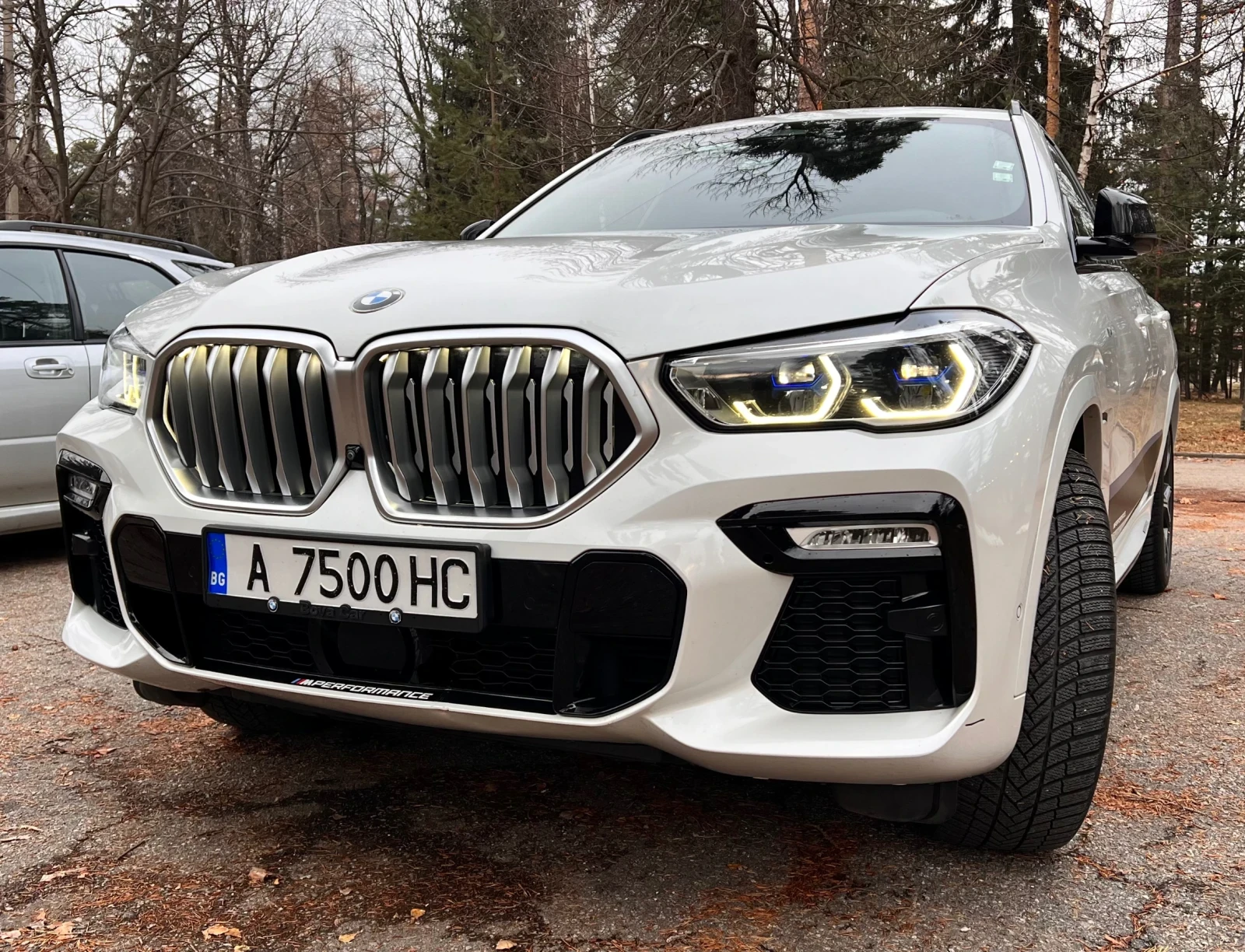 BMW X6 40d M/Individual/B&W/SKY/Swarovski - изображение 2