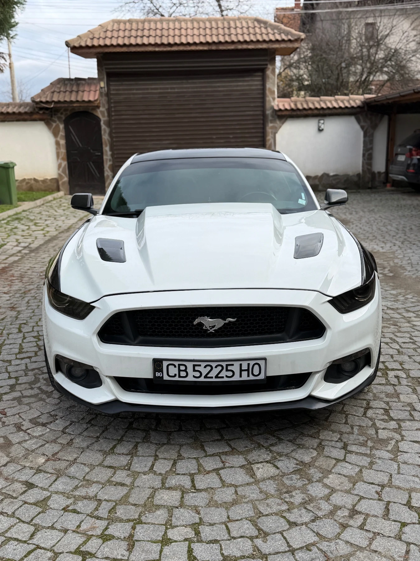 Ford Mustang GT 500 - изображение 8