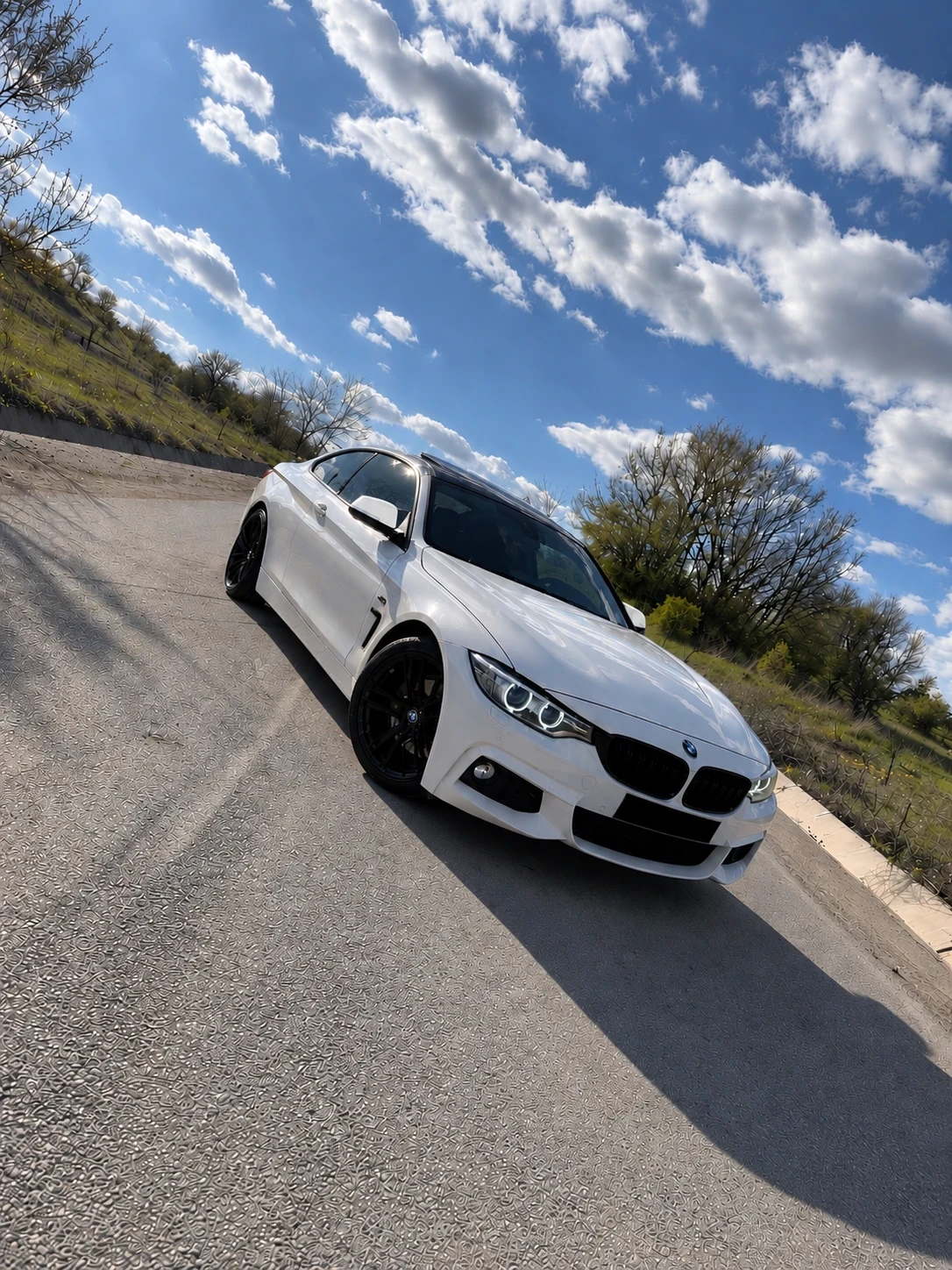 BMW 420, снимка 3 - Автомобили и джипове - 56727701
