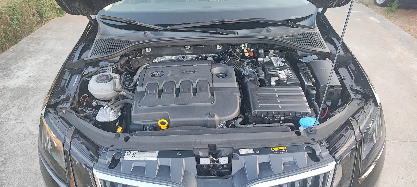 Skoda Octavia 1.6 TDI 7DSG | Mobile.bg — изображение 15