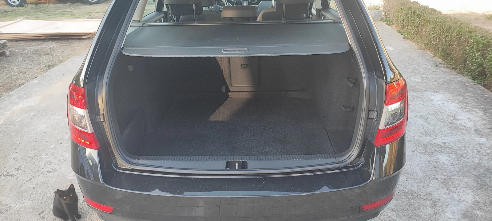 Skoda Octavia 1.6 TDI 7DSG | Mobile.bg — изображение 16