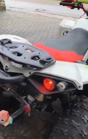 Can-Am Ren�gade 1000kyb | Mobile.bg � ����� ������ 13