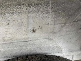 Ford Transit EURO 5 , KLIMA | Auto.bg — изображение 13