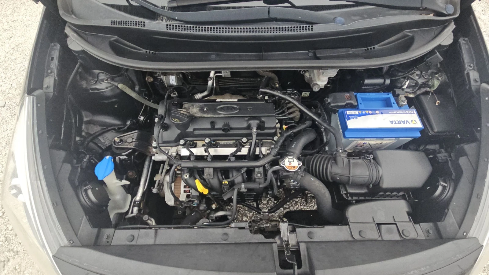 Kia Rio Kia Rio 1.25  160 000  | Mobile.bg   10