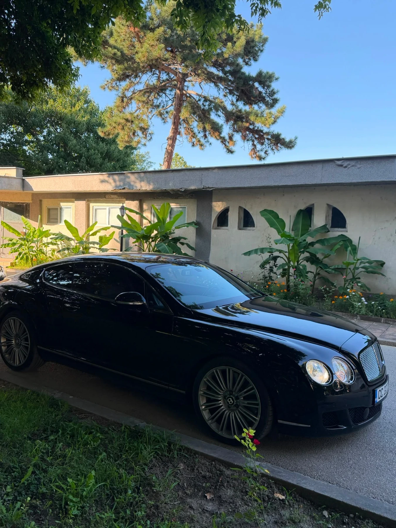 Bentley Continental gt SPEED 610 W12 | Mobile.bg � ����������� 5