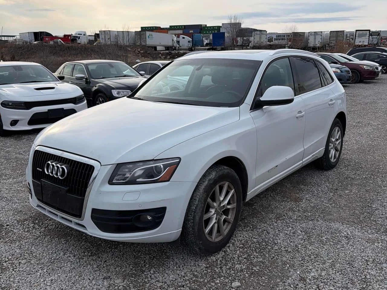 Audi Q5 * 3.2L Premium * CARFAX * ���� �� �� | Mobile.bg � ����������� 1