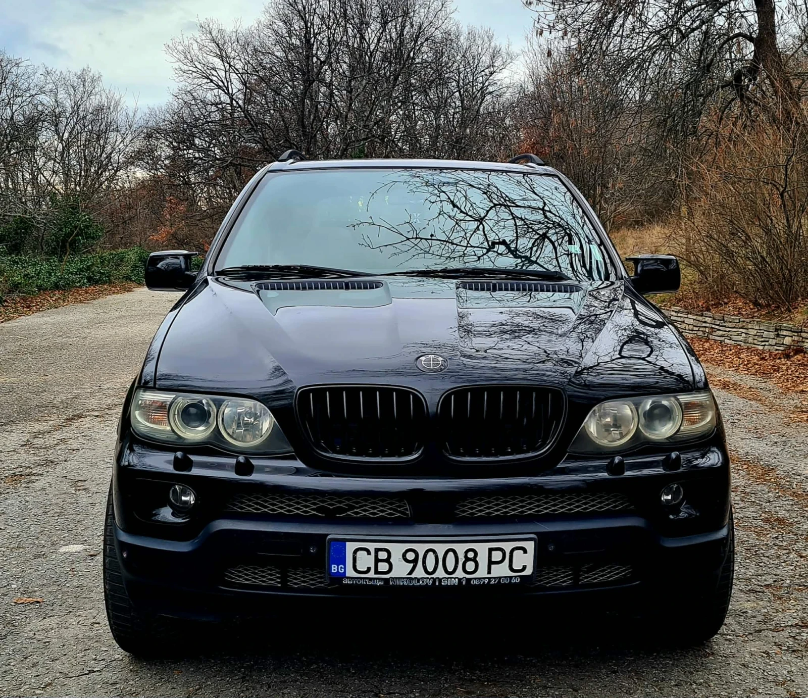 BMW X5 3000