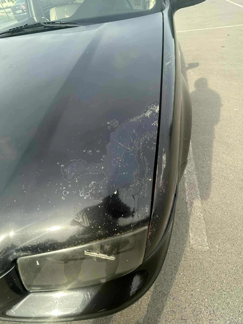 VW Bora, снимка 17 - Автомобили и джипове - 53088313