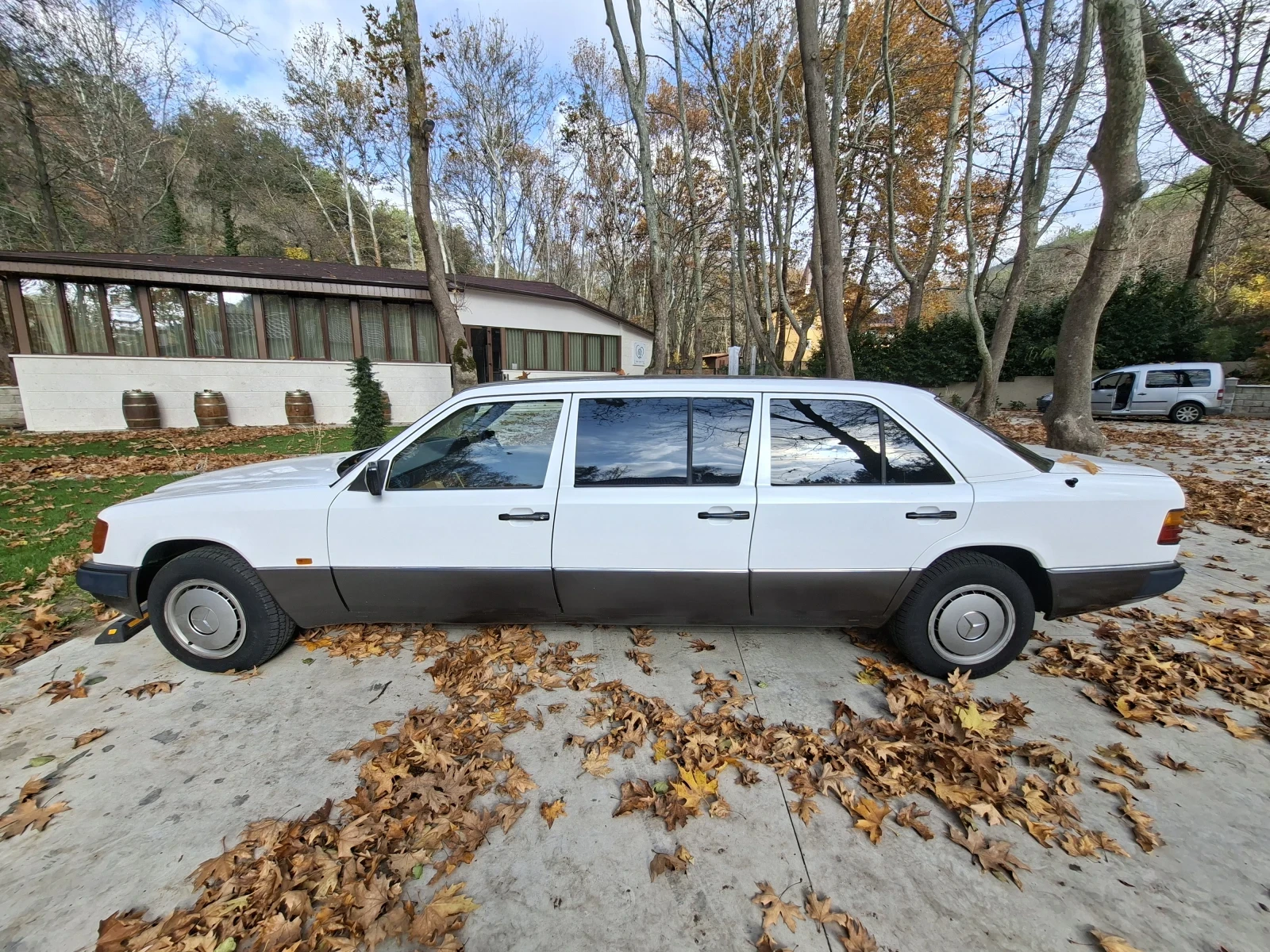 Mercedes-Benz 124 230 Pullman | Mobile.bg   3