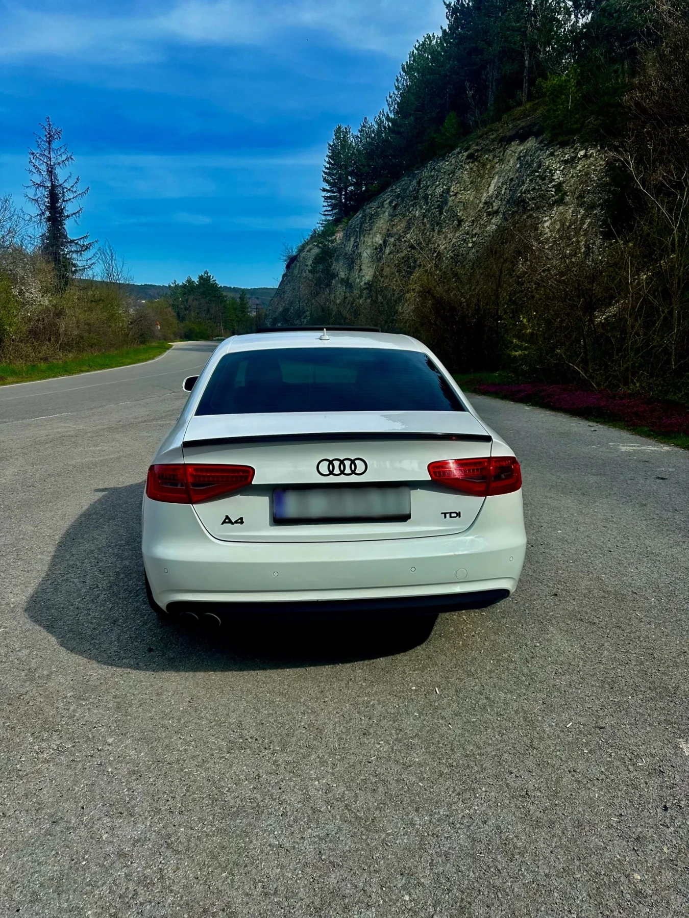 Audi A4 2.0 TDI, снимка 6 - Автомобили и джипове - 54228072