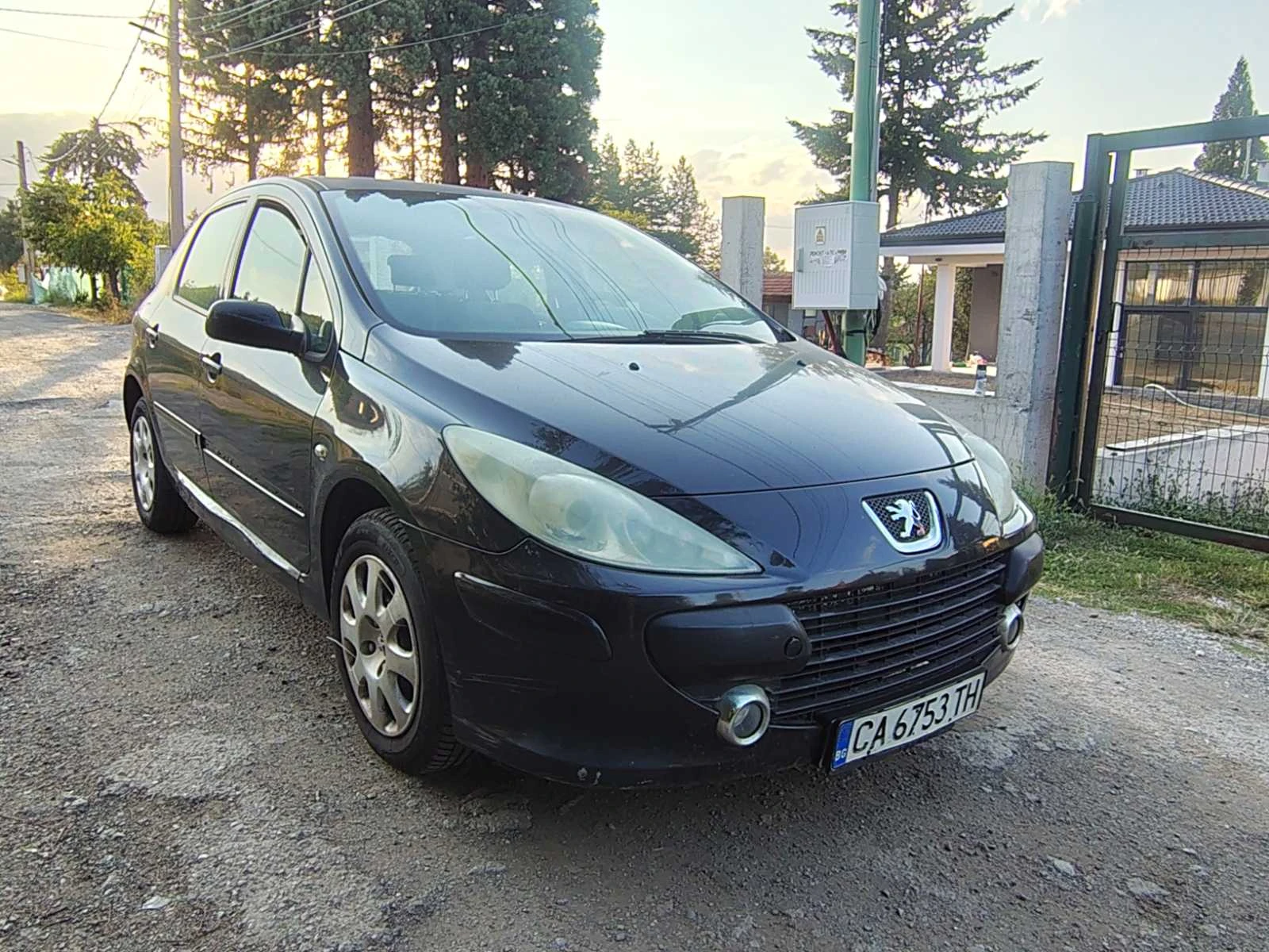 Peugeot 307, снимка 2 - Автомобили и джипове - 55689287
