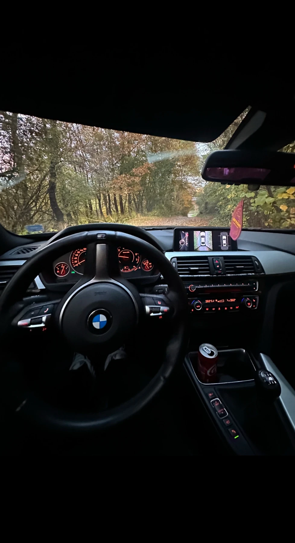 BMW 435 X-drive, снимка 3 - Автомобили и джипове - 55353592