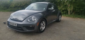  VW Beetle