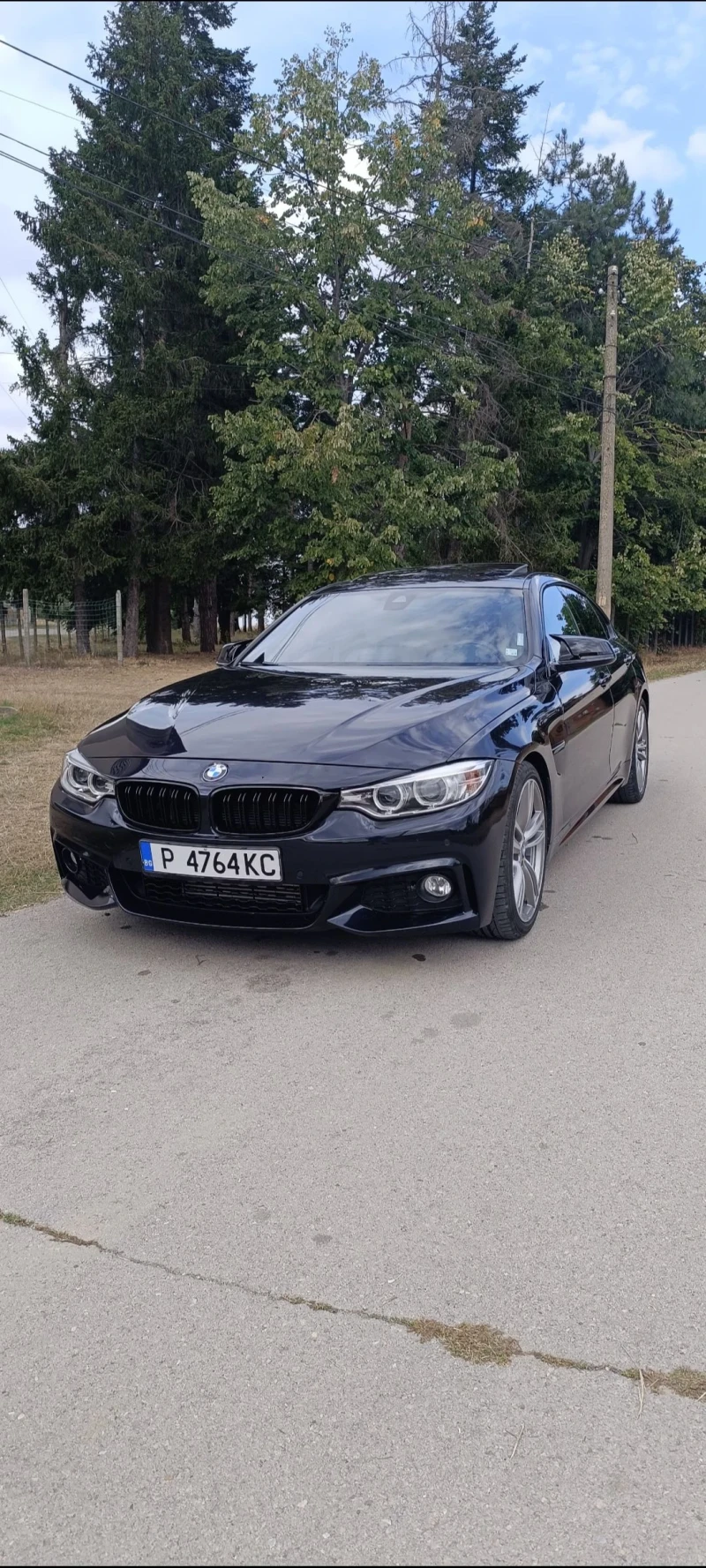 BMW 420 420 M Performance , снимка 2 - Автомобили и джипове - 50958272