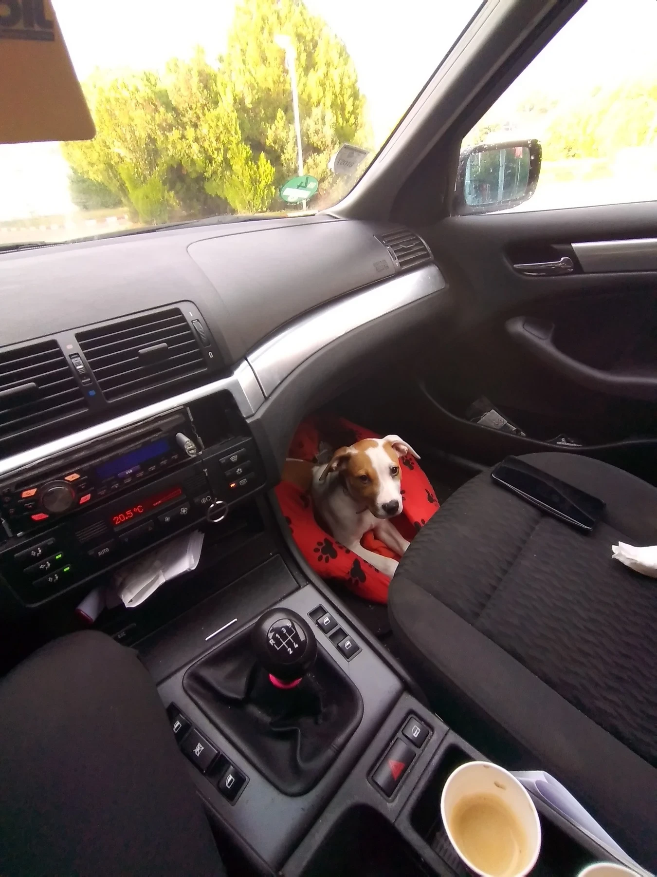 BMW 316 1.9 - изображение 4