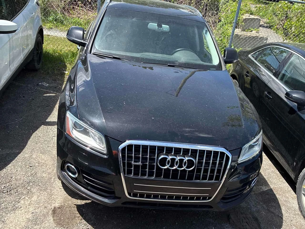 Audi Q5 * 3.0T Progressiv * CARFAX * ЦЕНА ДО БГ, снимка 4 - Автомобили и джипове - 54869386