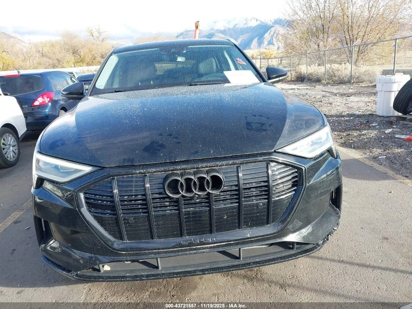 Audi E-Tron Premium Plus | Mobile.bg � ����������� 12