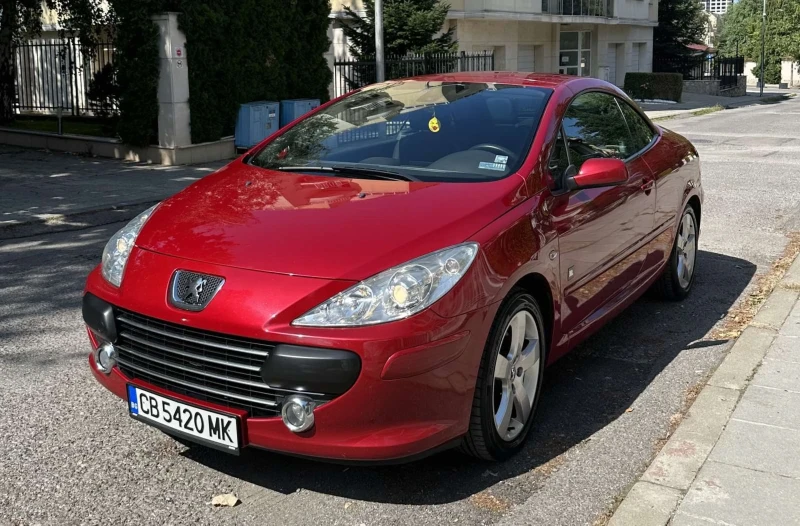 Peugeot 307, снимка 14 - Автомобили и джипове - 47166473