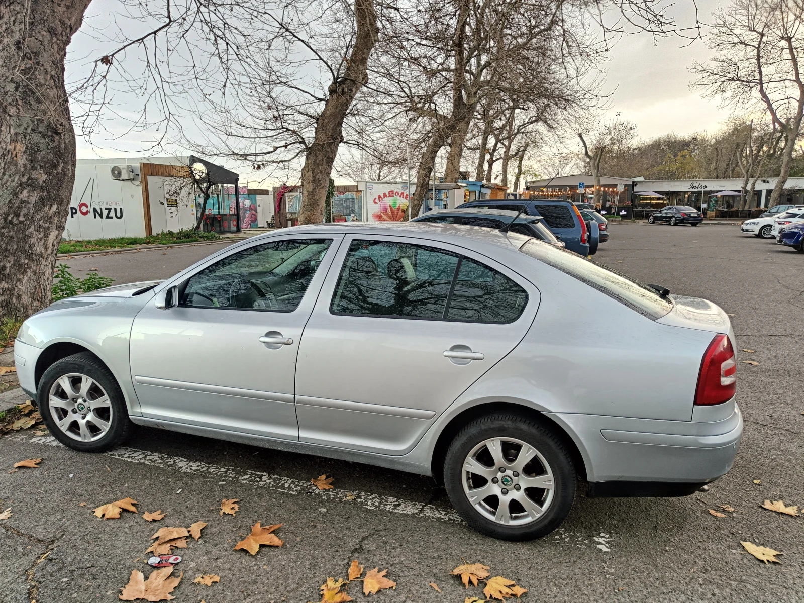 Skoda Octavia 1.9 TDI, снимка 13 - Автомобили и джипове - 54195170