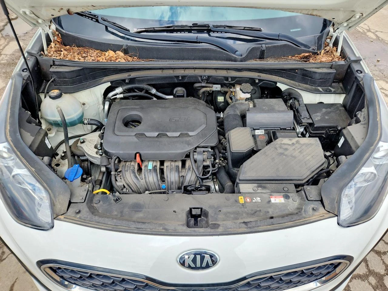 Kia Sportage 2.4l Lx, снимка 12 - Автомобили и джипове - 55074141