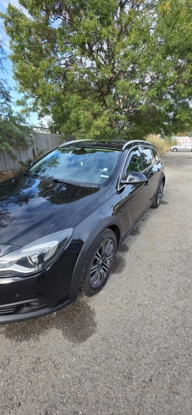 Opel Insignia 2.0  Country Tourer 4x4, снимка 2
