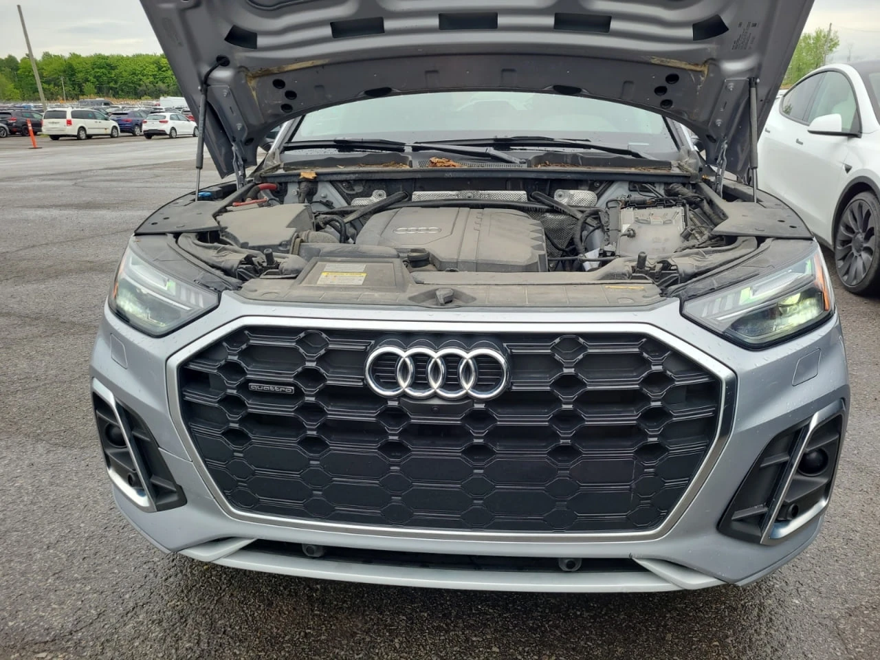 Audi Q5 * CARFAX * АВТО КРЕДИТ * ЦЕНА ДО БГ! - изображение 8