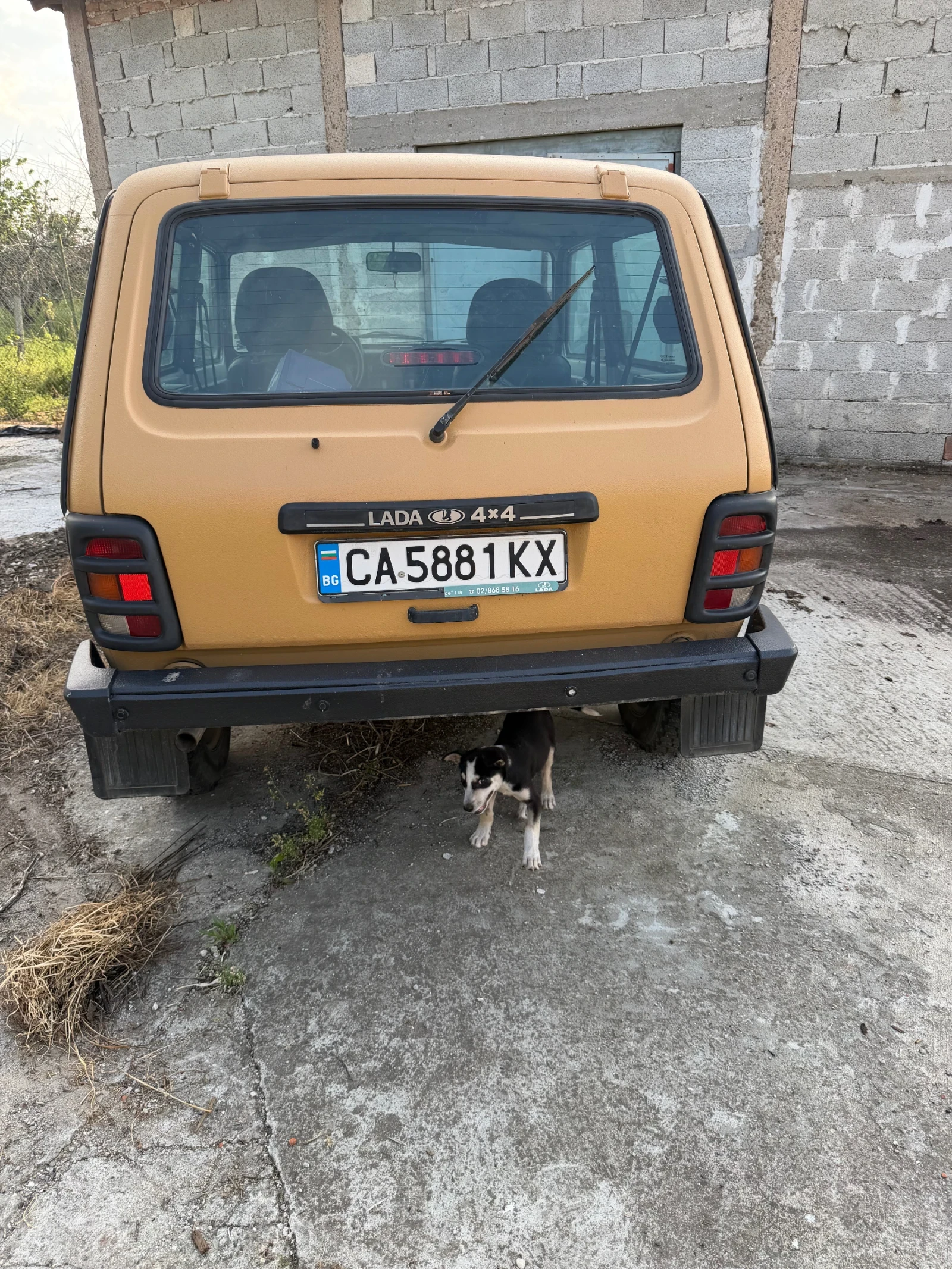 Lada Niva, снимка 3 - Автомобили и джипове - 55937582