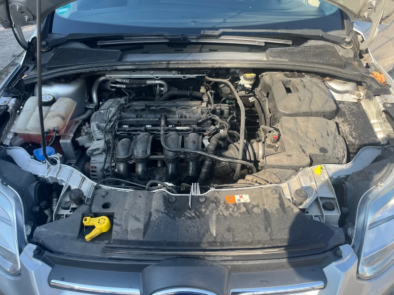 Ford Focus 1.6 benzin Обслужена, снимка 12 - Автомобили и джипове - 52077115