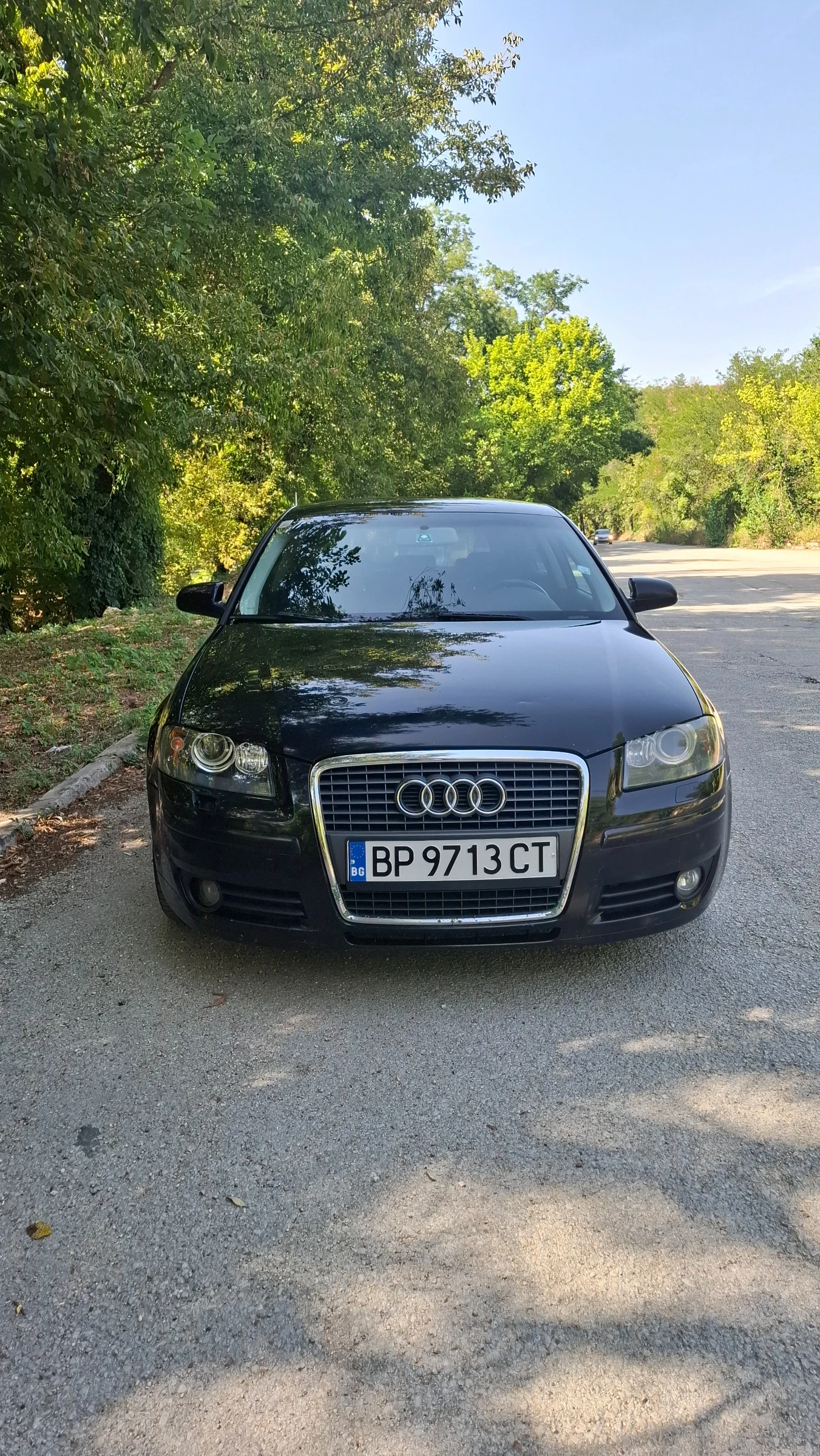 Audi A3 1.9TDI-105, снимка 9 - Автомобили и джипове - 55878183