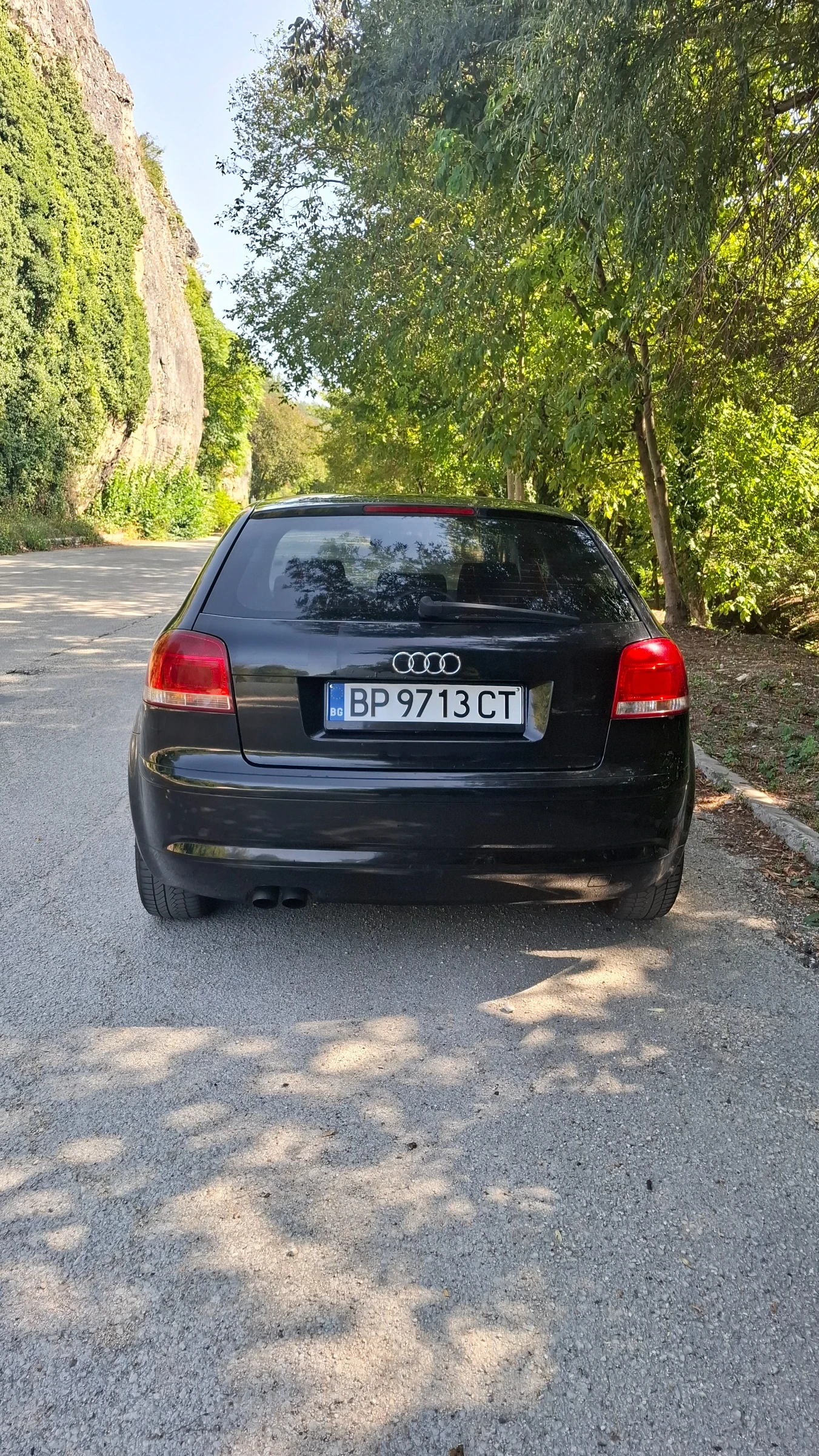Audi A3 1.9TDI-105, снимка 5 - Автомобили и джипове - 55878183