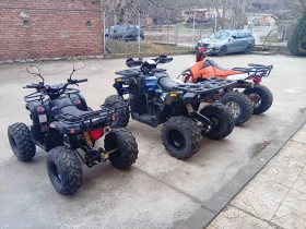 Shineray XY 110/180/350, снимка 4