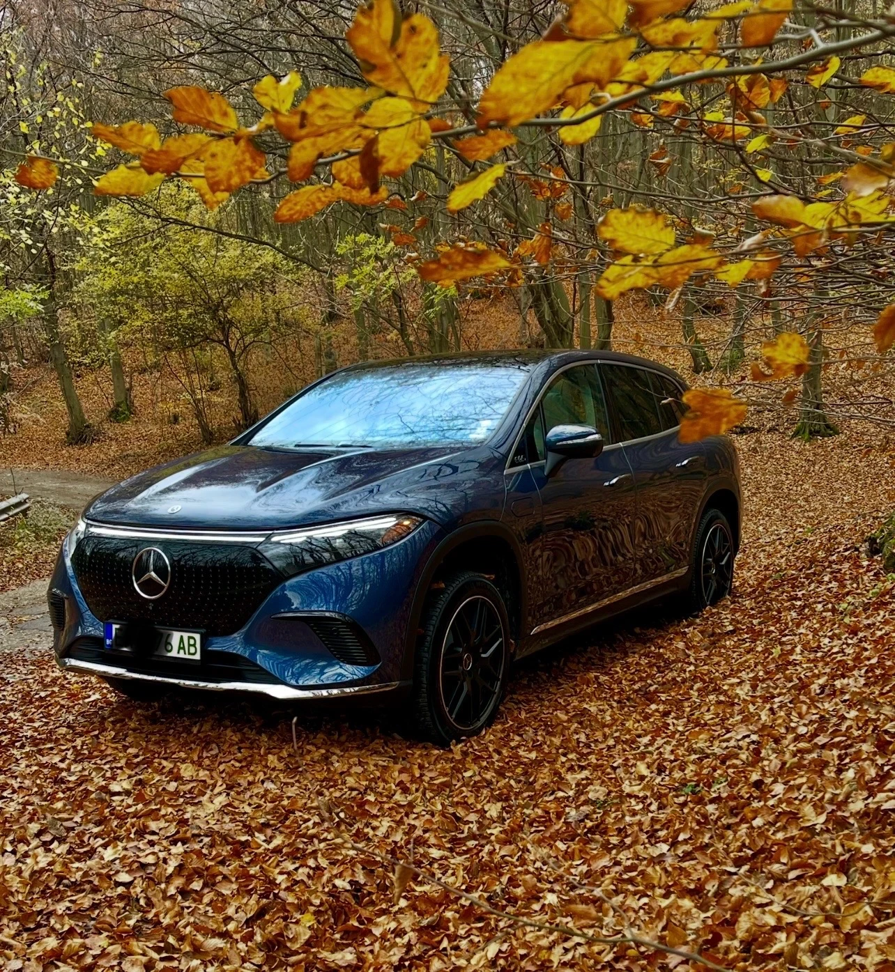 Mercedes-Benz EQS EQS 450 SUV 4 MATIC PANO - изображение 3