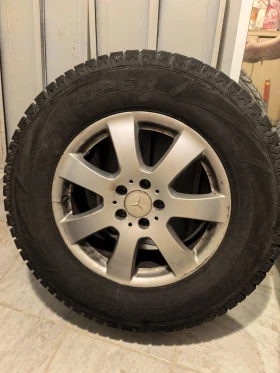 ������ ���� � ������