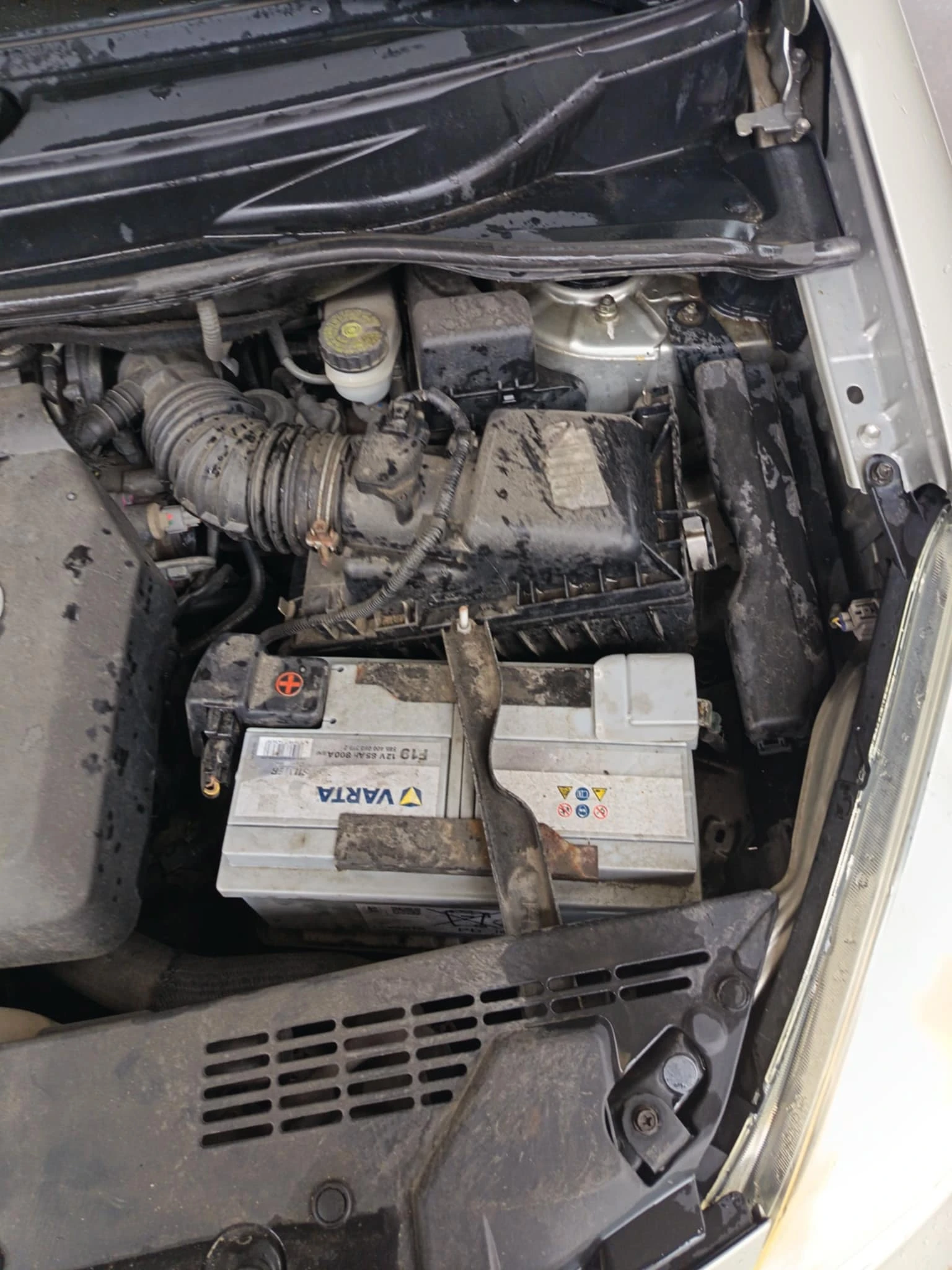 Toyota Corolla verso | Mobile.bg   14