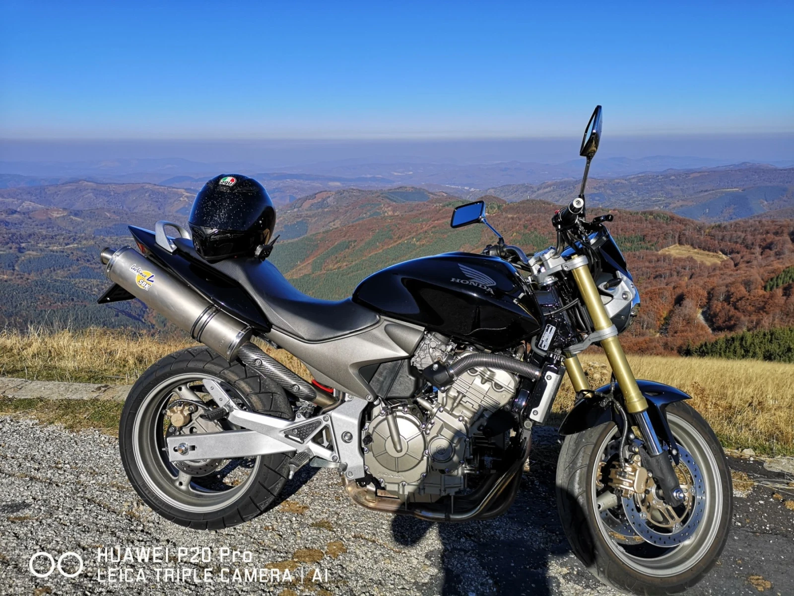 Honda Hornet | Mobile.bg   1