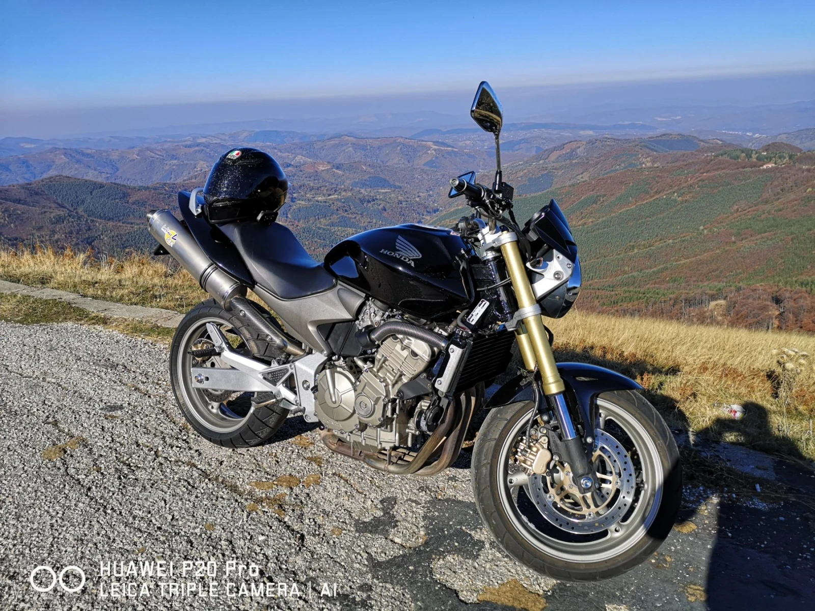 Honda Hornet  - изображение 4