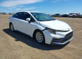 Toyota Corolla SE/XSE
