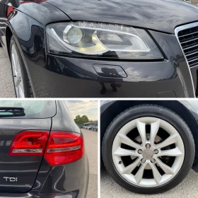 Audi A3 1.6TDI-FACELIFT-LED-XENON | Mobile.bg    7