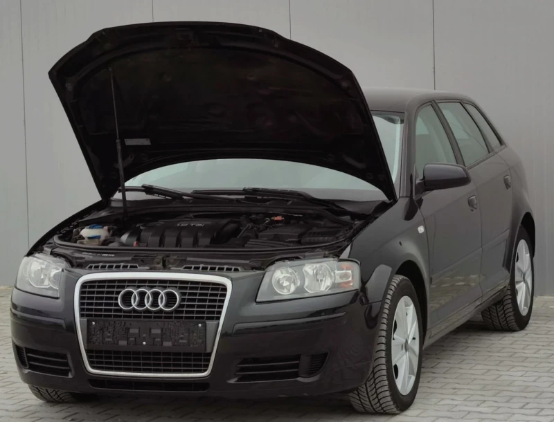 Audi A3 1.9TDI* 105к.с* DSG* , снимка 17 - Автомобили и джипове - 49549435