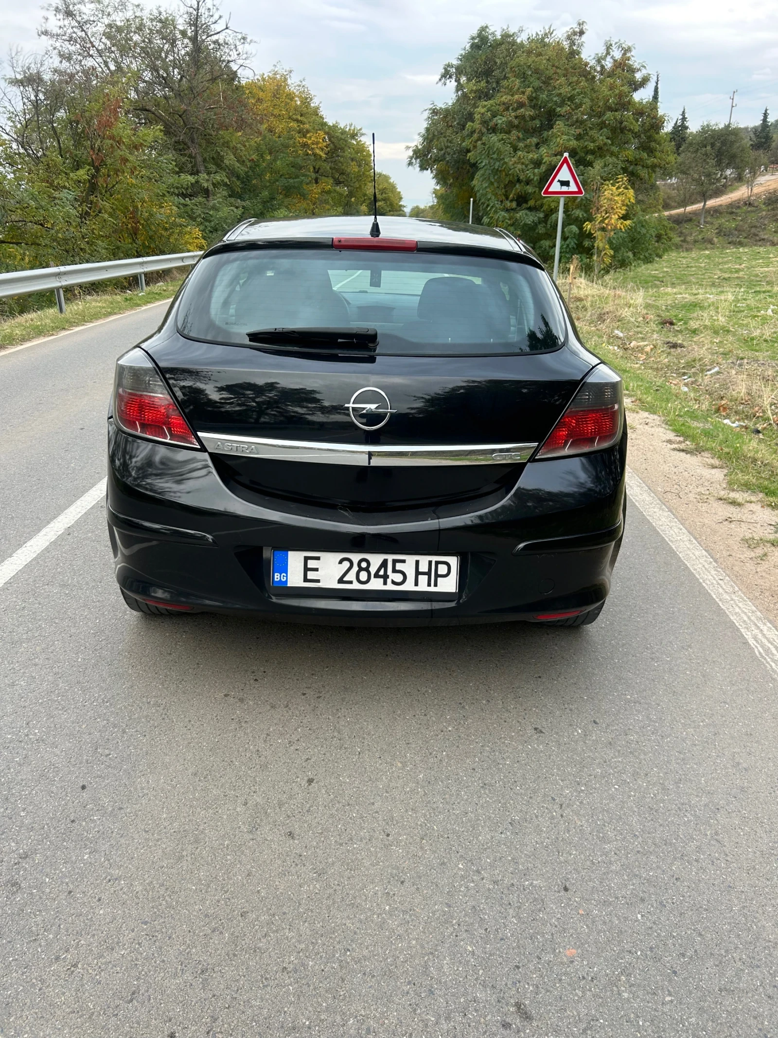 Opel Astra 1.3 GTC  | Mobile.bg   13