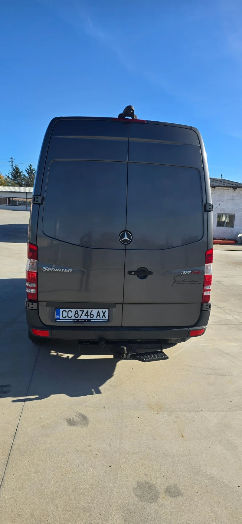 Mercedes-Benz Sprinter 319, снимка 3 - Бусове и автобуси - 52711024
