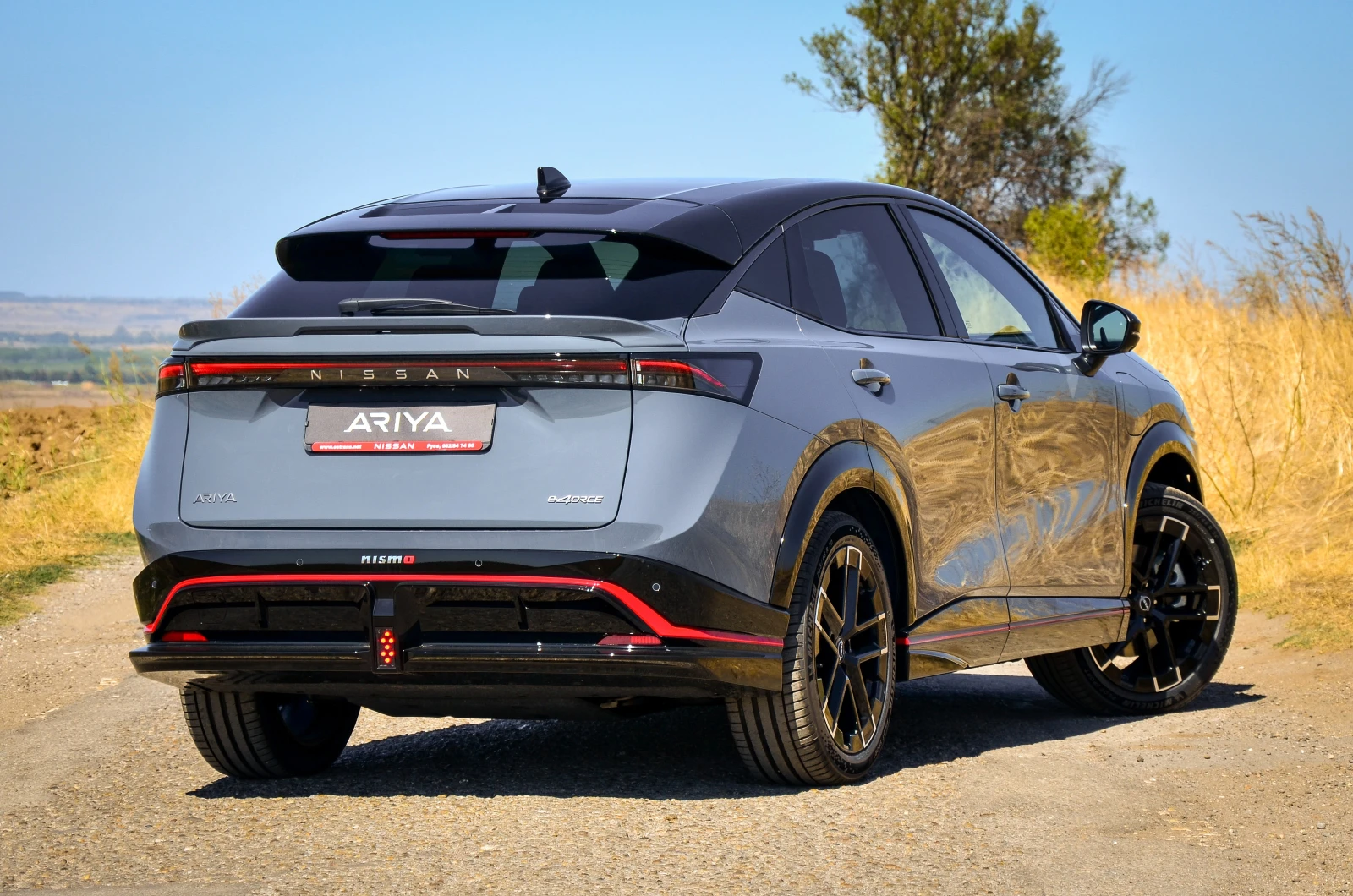 Nissan Ariya NISMO - изображение 5