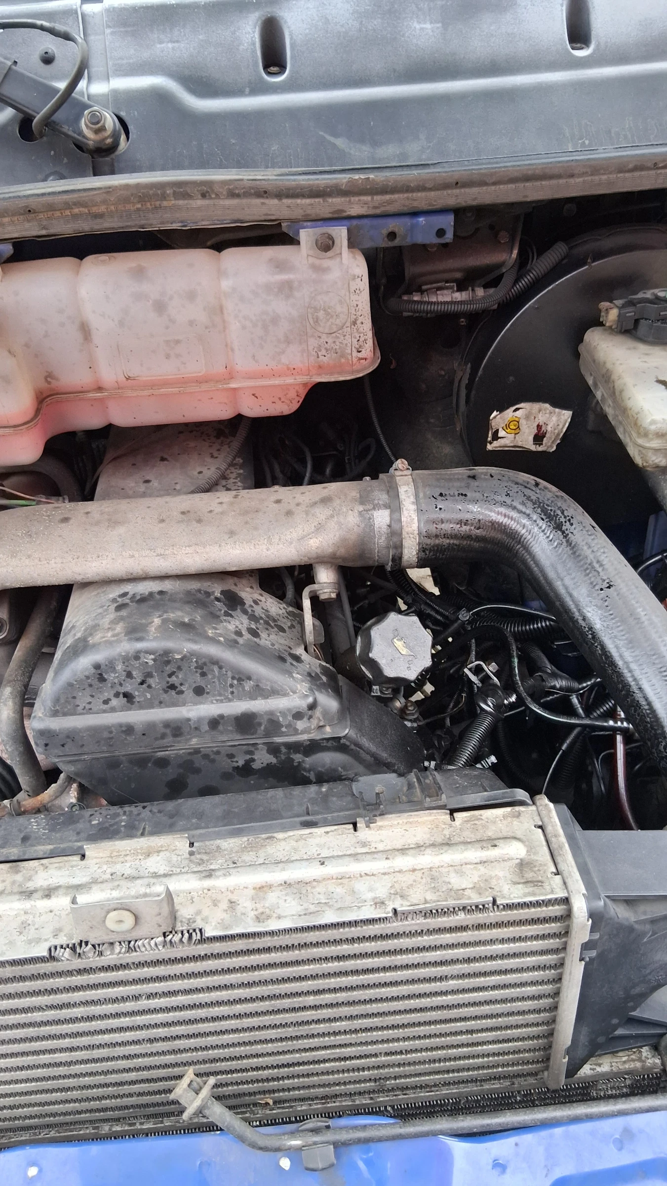 Iveco 35c15 | Mobile.bg � ����������� 17