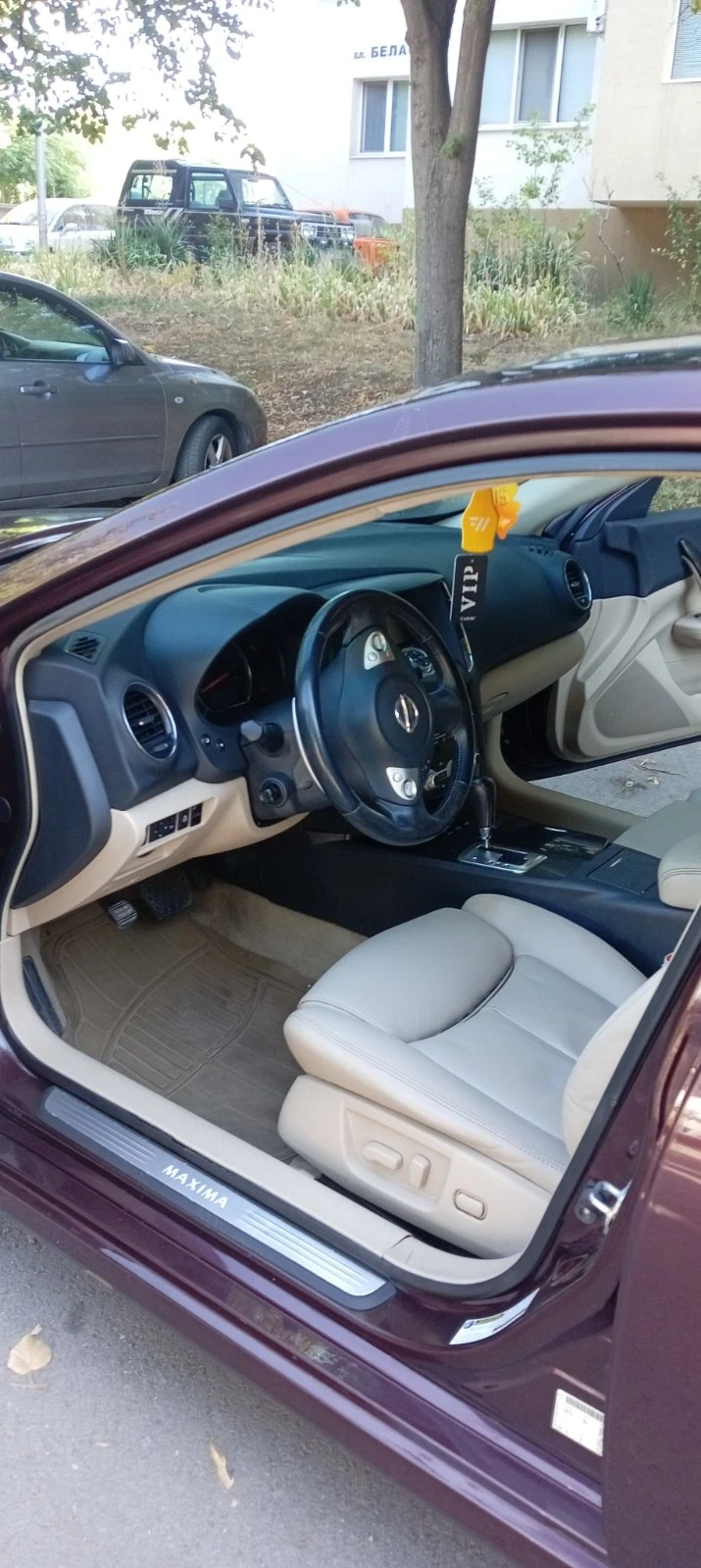 Nissan Maxima S - изображение 5