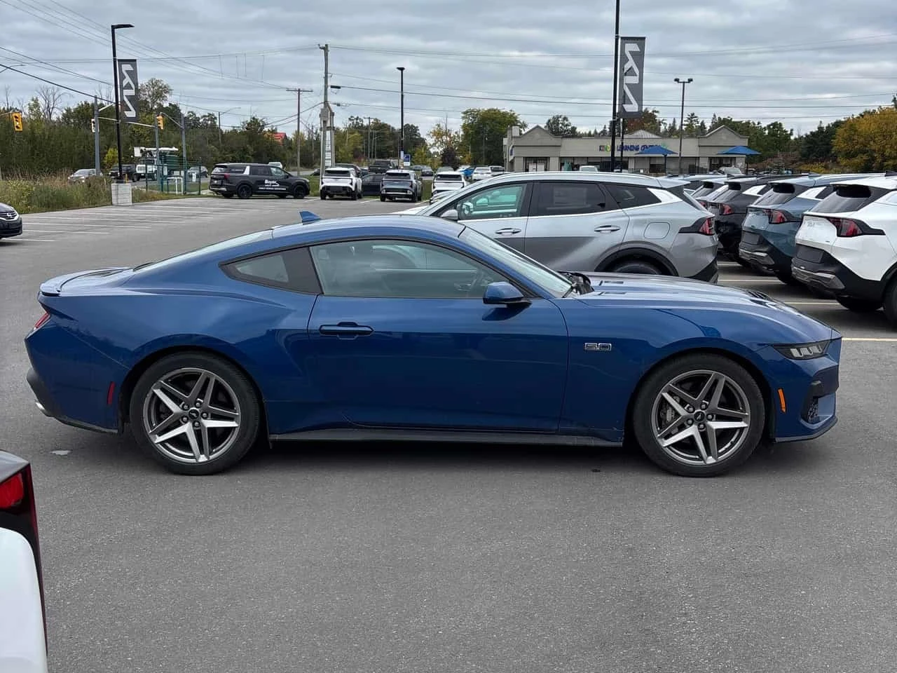 Ford Mustang * GT * ���������� ��� ������������ ������*  | Mobile.bg � ����������� 3