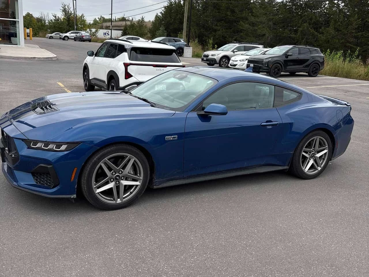 Ford Mustang * GT * ���������� ��� ������������ ������*  | Mobile.bg � ����������� 2