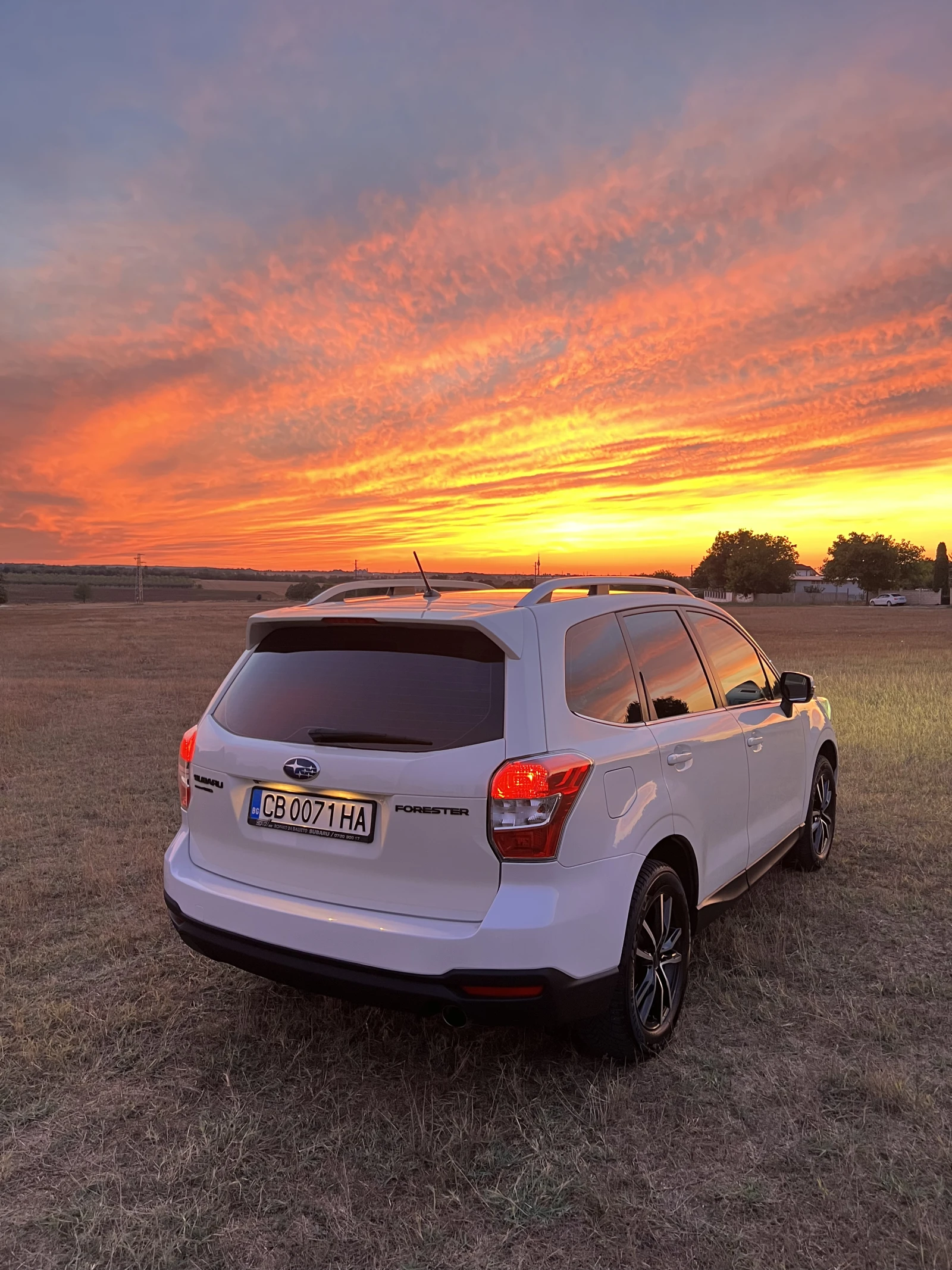 Subaru Forester LPG - изображение 5